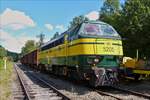 Diesellok 5204 wird im Bahnhof von Dorinne Durnal vor ein paar Güterwagen gespannt um damit èber die Museumsstrecke des PFT zu dem nächsten Fotohalt zu fahren wo die Fotografen dn Zug