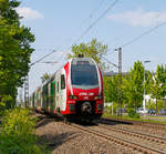   Der CFL 2302 und CFL 2301, zwei Stadler KISS, fahren am 30.04.2019 durch Bonn-Gronau (nähe dem Bf Bonn UN Campus) in Richtung Koblenz.