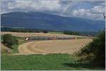 Der TGV Lyria 9261 von Paris Gare de Lyon nach Lausanne oberhalb von Arnex auf der Fahrt durch die hügligen Jurasüdfuss Landschaft.