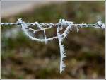 Stacheliger Stacheldraht.