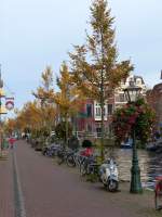 Oude Rijn, Leiden zondag 25-10-2015.