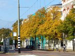 Herbstfarben Alexanderstraat, Den Haag 16-10-2016.