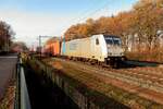 Am 27 November 2020 durchfahrt LTE 186 298 mit der Mannheim/Wörth KLV Blerick im letzten Sonnenschein.