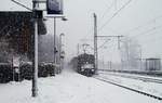 Schneegestöber der feinsten Art und ein schneller Gz....Hectorrail 241.006  Carlrissian  staubt hier durch Schleswig.