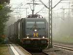 Die Halbmondlok...Hectorrail 241.011-4  C-3PO  rauscht hier im Morgennebel durch Schleswig Richtung Dänemark.