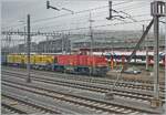 Aus dem Zug bei der Einfahrt in Genève fotografiert: die Diesellok Am 841 035-9 mit einem Bauzug. 

29. April 2026