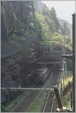 Viele Jahre lange lackierte die FS ihre E-Loks braun. Doch nun sind die BLS Re 4/4 wohl die letzten brauen Loks, die noch für eine kurze Zeit in Italien im planmässigen Betrieb beobachtet werden können... Die BLS Re 4/4 193 hat den 19803 Meter langen Simplontunnel verlassen und erreicht mit ihrem Autozug in Kürze ihr Ziel Iselle di Trasquera.

21. Juli 2021