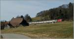 Zwischen Cottens und Neyruz f�hrt eine Re 460 mit einenm IC unter den alten, filigranen Fahrleitungsmasten St.