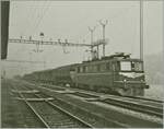 Die aargauische Südbahn ist vor allem für den Güterverkehr von und zum Gotthard von grosser Bedeutung. Im Bild die (von Märklin bekannte) Ae 6/6 11141  Kanton BERN  mit einem Güterzug auf der Fahrt in Richtung Rotkreuz in Dottikon-Dintikon. 

Analogbild vom  Januar 1983