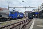 Während die WRS Re 4/4 III Re 430 115 mit ihrem Kesselwagenzug in Lausanne in Richtung Renens VD fährt, wartet die SBB Historique Ae 4/7 10976 mit ihrem SBB Schulzug auf die Weiterfahrt. 

1. November 2025 