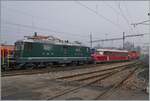 In Balsthal zeigen sich zwei SBB Klassiker die nach ihrer Dienstzeit bei der SBB eine neue Heimat gefunden haben: die Re 4/4 II 11173 der DSF Depot und Schienenfahrzeuge Koblenz und der  Rote PFeil  RCe 2/4 607 der OeBB. 

8. November 2025