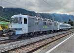 Die railadventure Re 6/6 91 85 4620 003-4 CH-RADVE brachte die beiden Stuttgarter S-Bahn Triebzüge 430 236 und 727 nach Villeneuve und wartet und auf die Rückfahrt.

6. Sept. 2024 