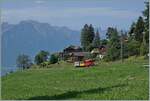 Ein kleiner Zug auf grosser Fahrt: Der RhB Bernina Bahn ABe 4/4 I N° 35 der Blonay Chamby Bahn ist mit dem Bernina Bahn As2 und dem MOB B4 N° 61 (beide auch Blonay-Chamby) als  Valrose