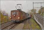 La DER de la Saison / Das Saison Ende der Blonay Chamby Bahn 2025 - Seit einigen Jahren zeigt die Blonay Chamby Bahn zum Saison Ende mit einem verdichteten Fahrplan noch einmal ihre herrlichen Fahrzeuge im Einsatz: Die BOB HGe 3/3 N° 29 der Blonay Chamby Bahn erreicht mit dem Reisezug 2907 von Blonay nach Chaulin den Halt Chamby. 

25. OKt. 2025