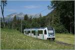 Kurz nach der kleinen Haltestelle Plan Morier ist der TPC ASD ABe 4/8 473 als R71 435 auf dem Weg von Les Diablerets nach Aigle. 

15. Juni 2026