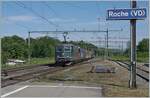 Die wieder in Grün lackierte SBB Re 4/4 II 11335 (Re 420 335-2) fährt mit einer Re 6/6 und einem kurzen Güterzug durch die Station Roche (VD) in Richtung Wallis.