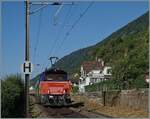 Auf dem letzten verblieben (kurzen) Einspurabschnitt zwischen Ligerz und Twann der Strecke 210 (Lausanne - Biel/Bienne) ist die SBB  Eem 923 024-4 (Hybridlok BUTLER) mit einem Güterzug auf dem