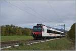 Der Palézieux von der  Hauptstrecke  Lausanne - Bern abgezweigte SBB Domino ist auf dem Weg ins Broyetal und erreicht den Halt Palézieux Village. 

22. Okt 2020