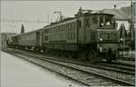 Die SBB Ae 4/7 10966 ist mit einem  Stücker  (Nahgüterzug) in Büren an der Aare unterwegs.