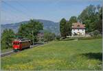 Die Saison 2026 der Blonay Chamby Bahn ist eröffnet: Bei Chaulin mit einer herrlich blühenden Wiese ist der Bernina Bahn RhB ABe 4/4 I N° 35 der Blonay Chamby Bahn auf der Fahrt von Blonay nach Chamby. 

2. Mai 2026