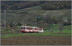 Der ex  Birsigtalbahn-Zug  bestehnd aus Bt 134 und BDe 4/4 als AOMC Regionalzug bei Villy.