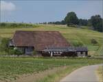 Das Pendler-Pintli Bre 4/4 1001 am unteren Löffelhof beim Bahnhof Lohn-Lüterkofen.