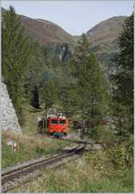 Die MGB HGm 4/4 61 der DFB ist kurz vor Oberwald auf Talfahrt.

30. Sept 2021