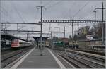 Blick auf den Bahnhof von Morges mit einen SBB RABe 500 ICN nach Rorschach, einem BAM MBC Regionalzug nach Biere und der IRSI Re 4/4 II 11387 (Re 421 387-2) die z.Z. im Dienste der BAM MBC stehet.

22. Februar 2024