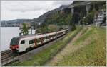 Der SBB/TRAVYS Flirt 3 RABe 523 113 und der SBB Flirt 523 060 bilden einen  gemischten  Flirt  von Le Brassus/Vallorbe - Le Day - Aigle bei der Fahrt kurz vor Villeneuve am Genfersee vorbei.