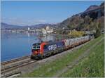 Die von SBB Cargo angemietete 193 076 ist kurz vor Villeneuve mit eimem Güterzug auf dem Weg in Richtung St-Maurice.