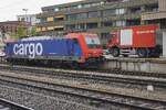 Am Nachmittag von 15 Mai 2026 macht SBB 484 019 Pause in Rotkreuz.