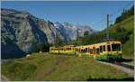 Ein WAB Regionalzug zwischen Wengener Alp und der Kleinen Scheidegg.