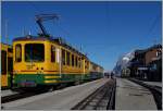 Der WAB BDe 2/4 124 auf der Kleinen Scheidegg.