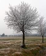   Winterliche Impressionen  Pünktlich zum 1.