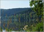 Am Stausee der Obersauer.