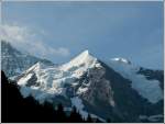 Die Silberhrner (3695 m) aus der Wengernalpbahn fotografiert am 30.07.2008.