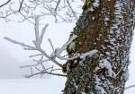 Winterzauber am Westerwald, bei Nisterau am 12.02.2015.