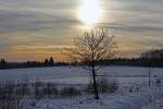   Winterzauber im Westerwald, bei Nisterberg am 05.01.2015.