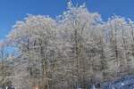 Winter Impressionen am Schummanseck, Raureif glänzt an den Bäumen entlang der Straße bei herrlichem Wanderwetter, Sonnenschein und blauem Himmel.