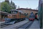 Anlsslich des 50 Jahre Jubilum der B-C kam es im Rahmen des Mega Bernina Festivals zum wohl einmaligen Treffen zweier einmaliger Charakterkpfe: des RhB Krokodils Ge 4/4 182 und der SEG G 2x3/3 104